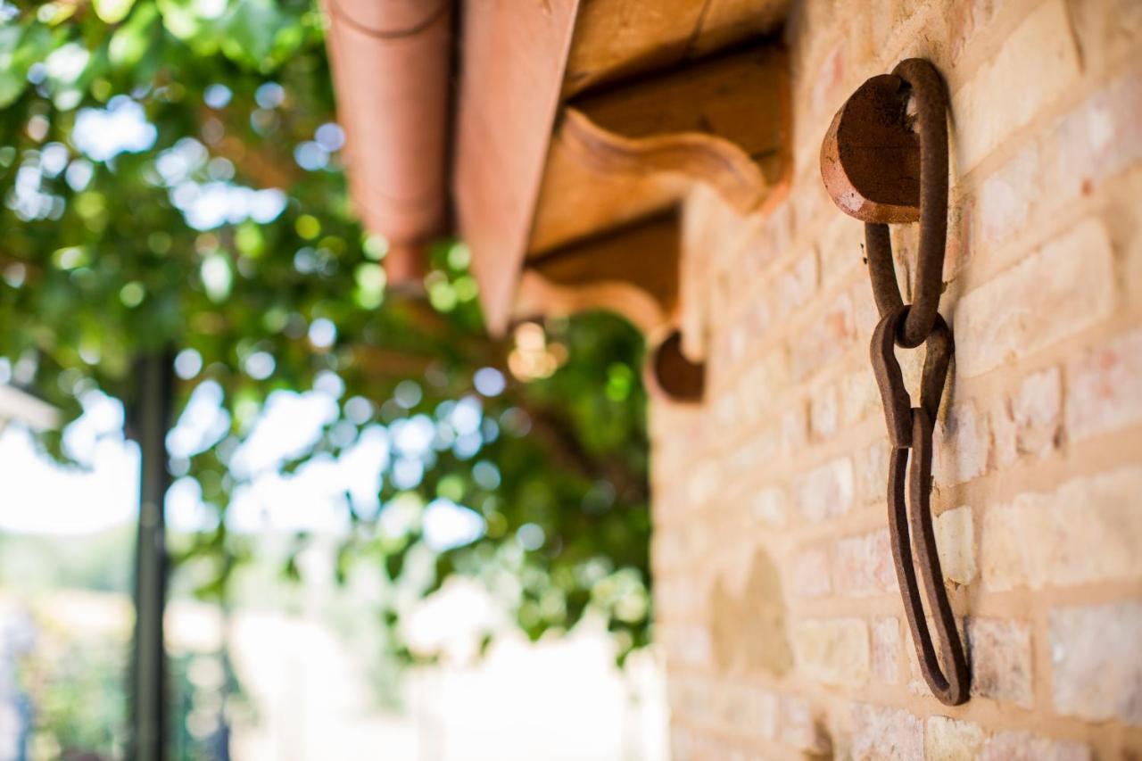 B&B Il Cavallino Civitanova Alta Exterior foto