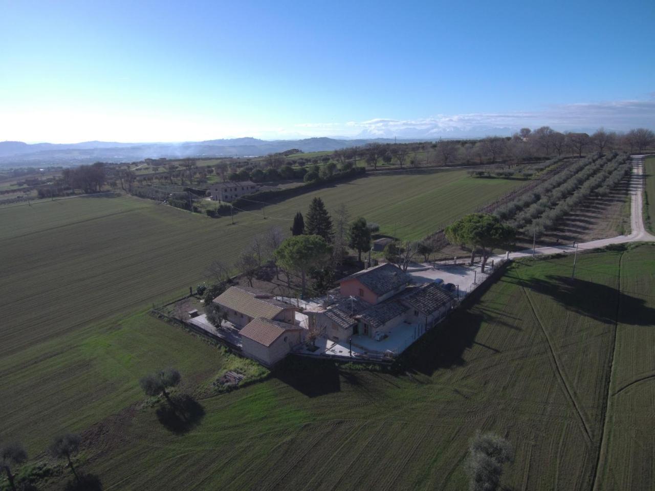 B&B Il Cavallino Civitanova Alta Exterior foto
