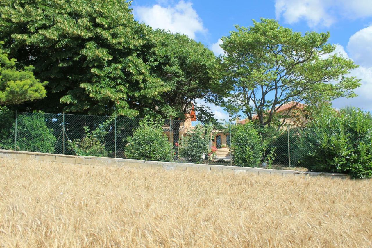 B&B Il Cavallino Civitanova Alta Exterior foto